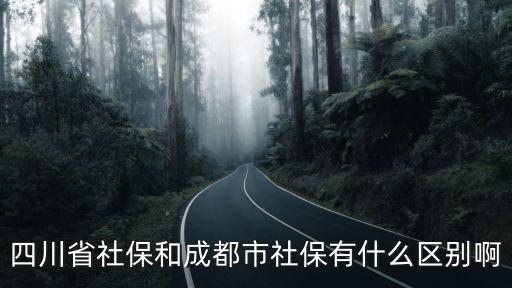 四川省社保和成都市社保有什么區別啊