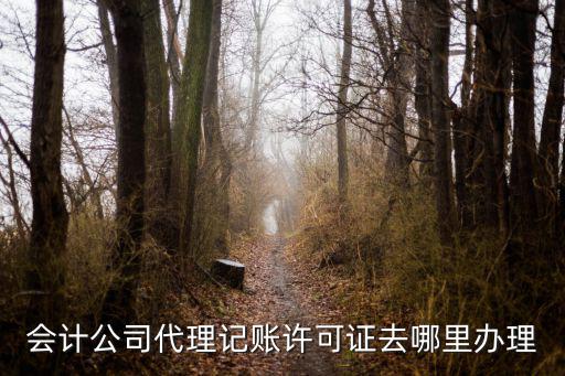 會計公司代理記賬許可證去哪里辦理