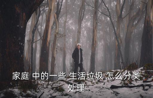 家庭 中的一些 生活垃圾 怎么分類處理