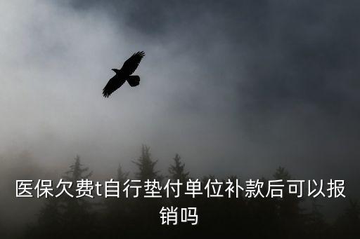 醫(yī)保欠費(fèi)t自行墊付單位補(bǔ)款后可以報(bào)銷嗎