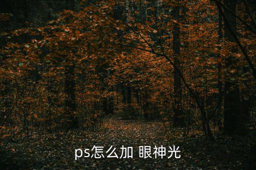 眼神光,如何拍照?