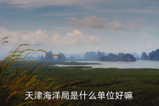 天津海洋局是什么單位好嘛