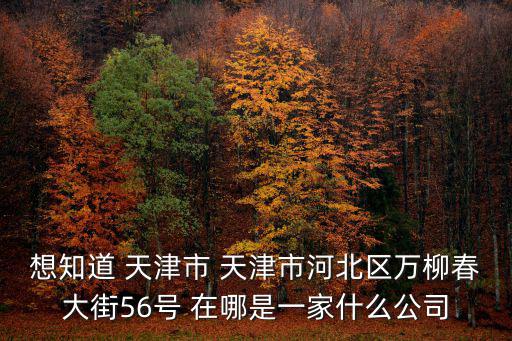 想知道 天津市 天津市河北區萬柳春大街56號 在哪是一家什么公司