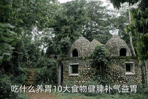 吃什么養(yǎng)胃10大食物健脾補氣益胃