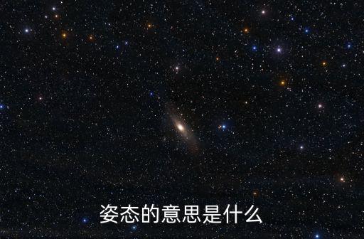 姿態(tài)的意思是什么