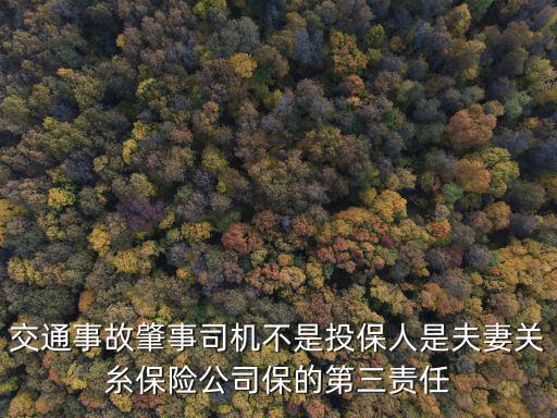 交通事故肇事司機不是投保人是夫妻關糸保險公司保的第三責任