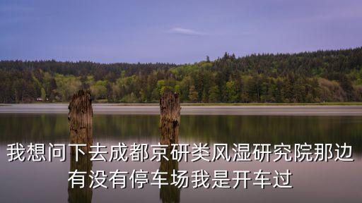 我想問下去成都京研類風濕研究院那邊有沒有停車場我是開車過