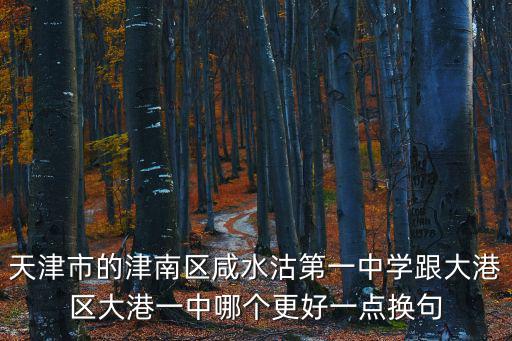 天津市的津南區(qū)咸水沽第一中學(xué)跟大港區(qū)大港一中哪個(gè)更好一點(diǎn)換句