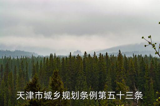 天津市城鄉規劃條例第五十三條