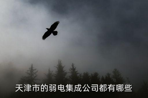 天津市的弱電集成公司都有哪些