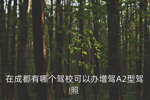 在成都有哪個駕校可以辦增駕A2型駕照