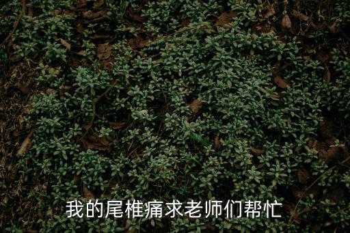 我的尾椎痛求老師們幫忙