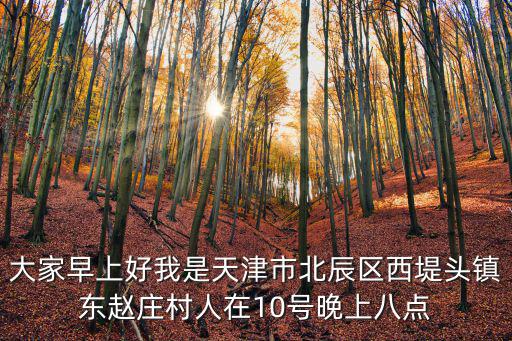 大家早上好我是天津市北辰區西堤頭鎮東趙莊村人在10號晚上八點