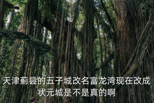 天津市薊縣五子城房本，天津薊縣的五子城改名富龍灣現在改成狀元城是不是真的啊