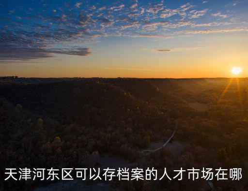 天津河東區可以存檔案的人才市場在哪