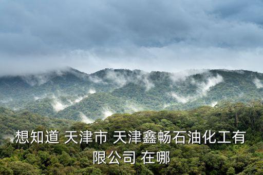 想知道 天津市 天津鑫暢石油化工有限公司 在哪