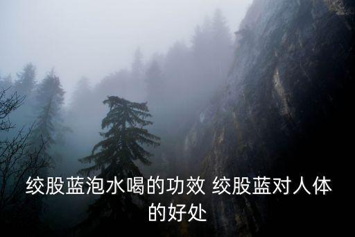  絞股藍泡水喝的功效 絞股藍對人體的好處