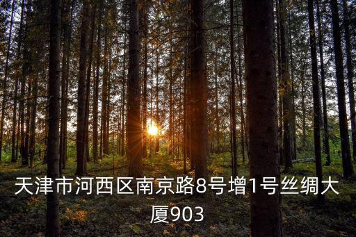 天津市河西區(qū)南京路8號(hào)增1號(hào)絲綢大廈903