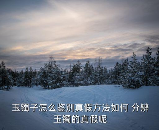  玉鐲子怎么鑒別真假方法如何 分辨 玉鐲的真假呢
