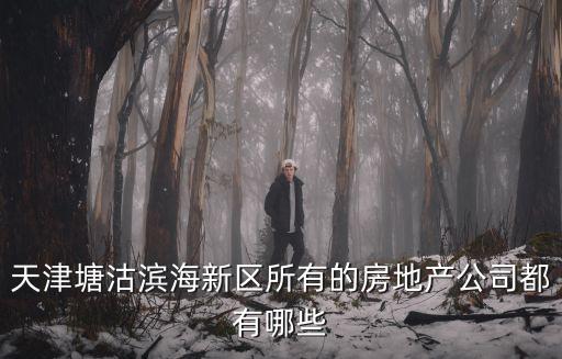 天津塘沽濱海新區(qū)所有的房地產公司都有哪些
