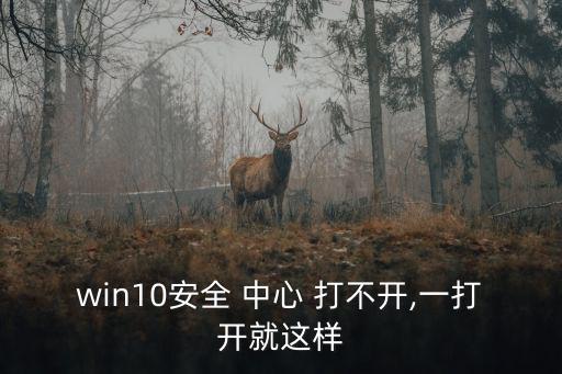win10安全 中心 打不開,一打開就這樣