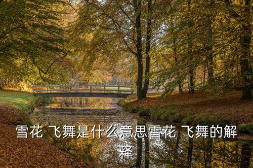 雪花 飛舞是什么意思雪花 飛舞的解釋