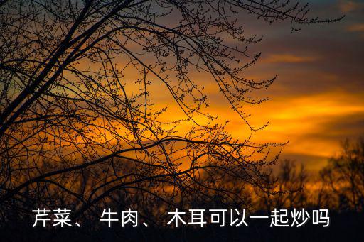 芹菜、 牛肉、 木耳可以一起炒嗎