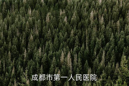 成都市第一人民醫院