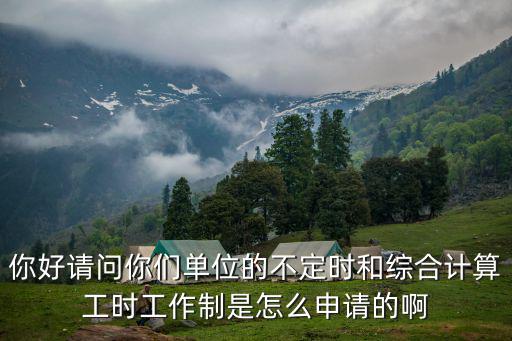你好請問你們單位的不定時(shí)和綜合計(jì)算工時(shí)工作制是怎么申請的啊