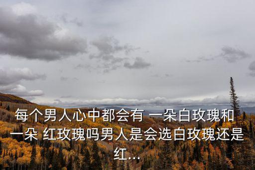 每個男人心中都會有 一朵白玫瑰和 一朵 紅玫瑰嗎男人是會選白玫瑰還是紅...