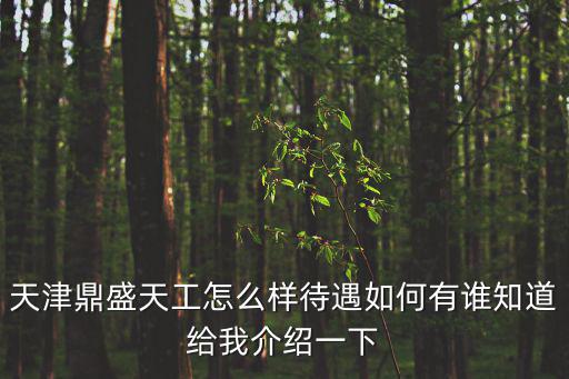 天津鼎盛天工怎么樣待遇如何有誰知道給我介紹一下