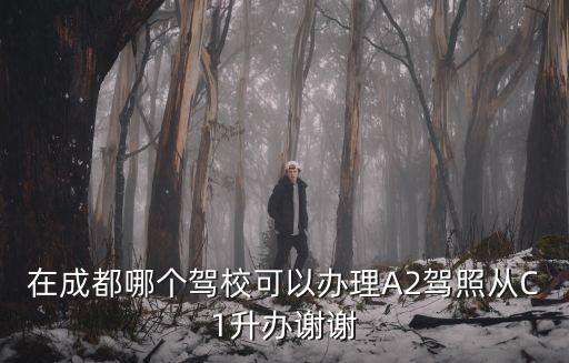 成都市a2駕校，在成都哪個(gè)駕校可以辦理A2駕照從C1升辦謝謝