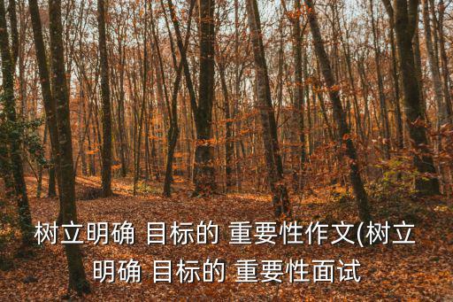 樹立明確 目標的 重要性作文(樹立明確 目標的 重要性面試