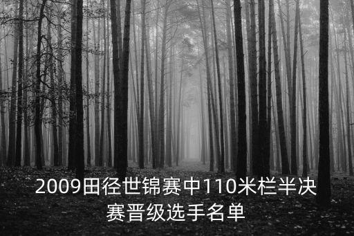 九重天杯重慶市田徑比賽決賽名單，2009田徑世錦賽中110米欄半決賽晉級選手名單
