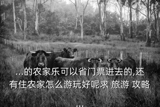 東江湖旅游攻略,第三天逛東江湖第一天到郴州看看