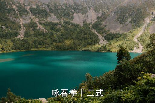 詠春拳十二式