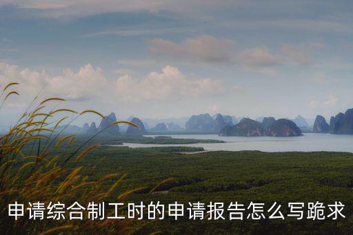 申請(qǐng)綜合制工時(shí)的申請(qǐng)報(bào)告怎么寫跪求