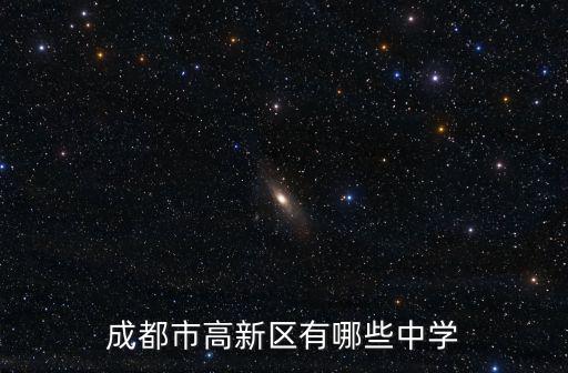 成都市溫江區2014和盛中學，成都市高新區有哪些中學