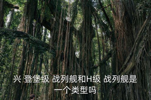 興 登堡級 戰列艦和H級 戰列艦是一個類型嗎