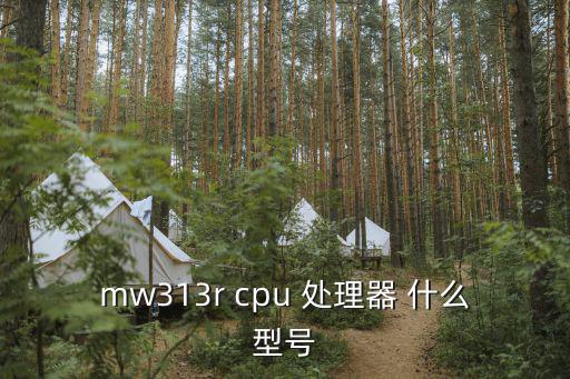 mw313r cpu 處理器 什么型號