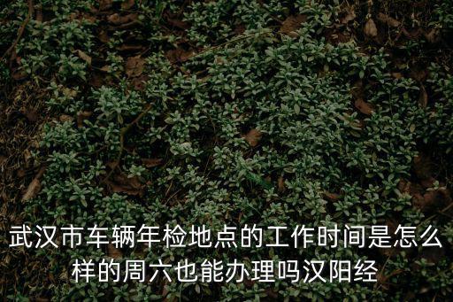 武漢市車輛年檢地點的工作時間是怎么樣的周六也能辦理嗎漢陽經(jīng)