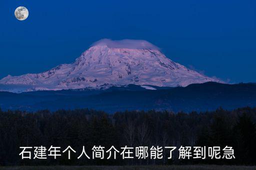 石建年個(gè)人簡介在哪能了解到呢急