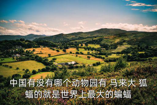 馬來大狐蝠,世界上最大馬來da狐蝠產于馬來西亞