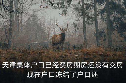 天津市宅基地審批凍結，現在天津市對農村建房是否不管了
