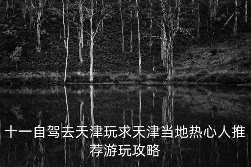 天津市區自駕游攻略，求天津自駕一日游攻略一定要包括天津之眼和實惠又具有本地特色