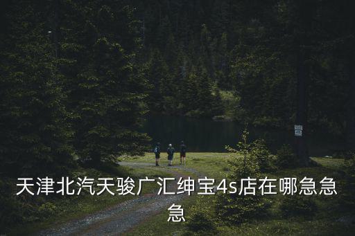 天津北汽天駿廣匯紳寶4s店在哪急急急
