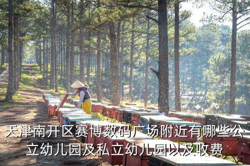 天津南開區賽博數碼廣場附近有哪些公立幼兒園及私立幼兒園以及收費