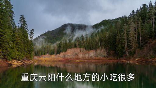 重慶云陽(yáng)什么地方的小吃很多