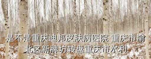 是不是重慶迪邦皮膚病醫(yī)院 重慶市渝北區(qū)新牌坊轉(zhuǎn)盤重慶市水利