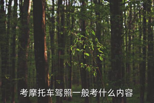 考摩托車駕照一般考什么內容